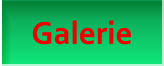 Galerie Galerie